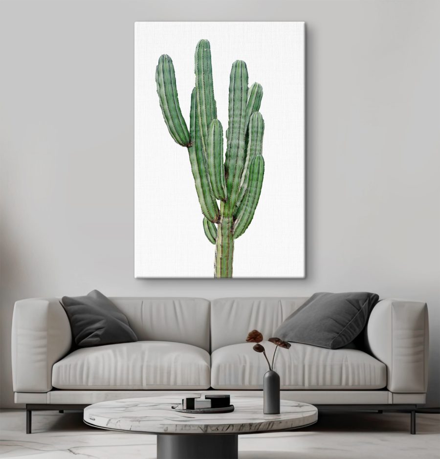 Cactus met lange dunne groene stengels