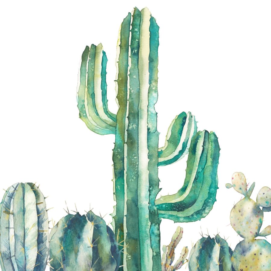 Aquarel van een cactus Aquarel van een cactus