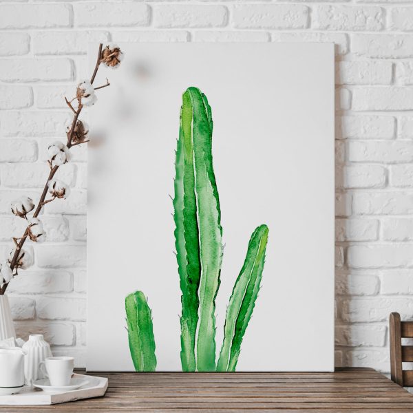 Groene cactus met lange stengels Groene cactus met lange stengels