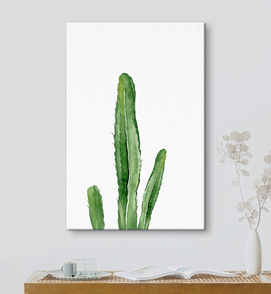 Groene cactus met lange stengels
