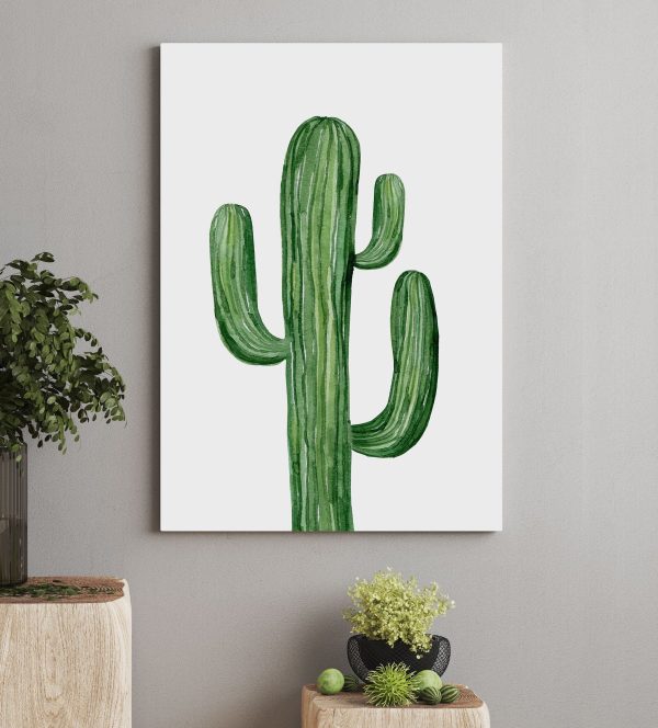 Groene cactus op witte achtergrond Groene cactus op witte achtergrond