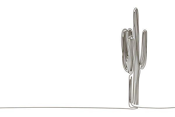 Cactus in één lijn getekend Cactus in één lijn getekend