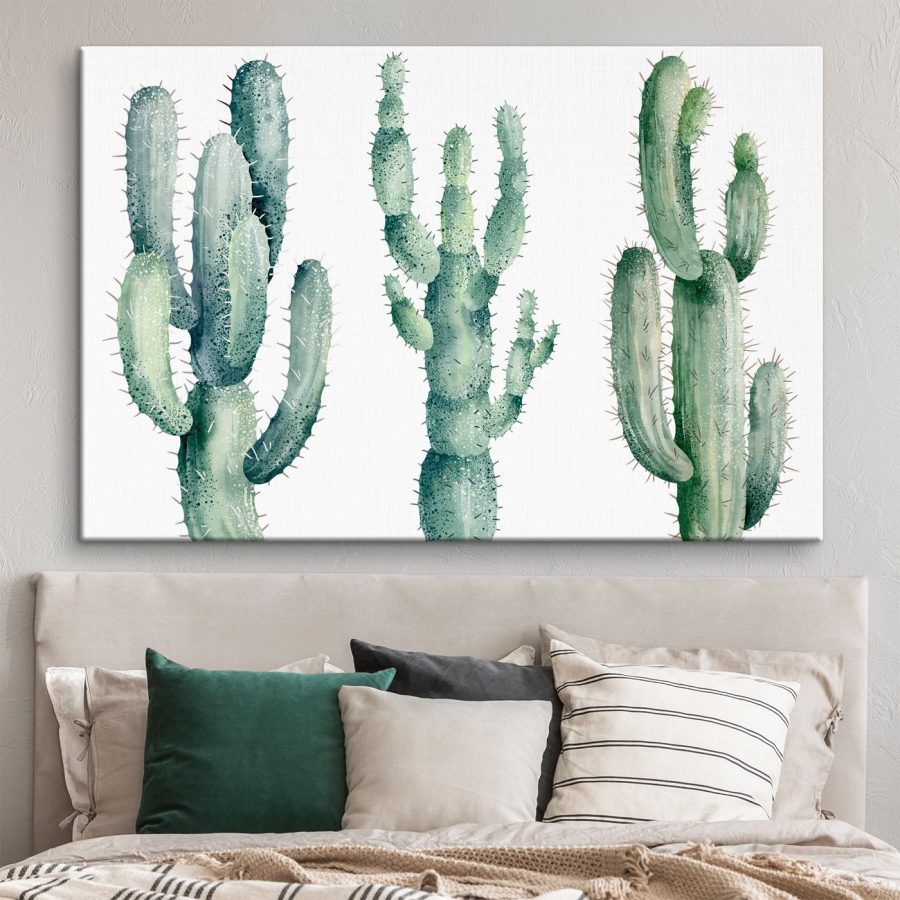 Groep cactussen op witte achtergrond