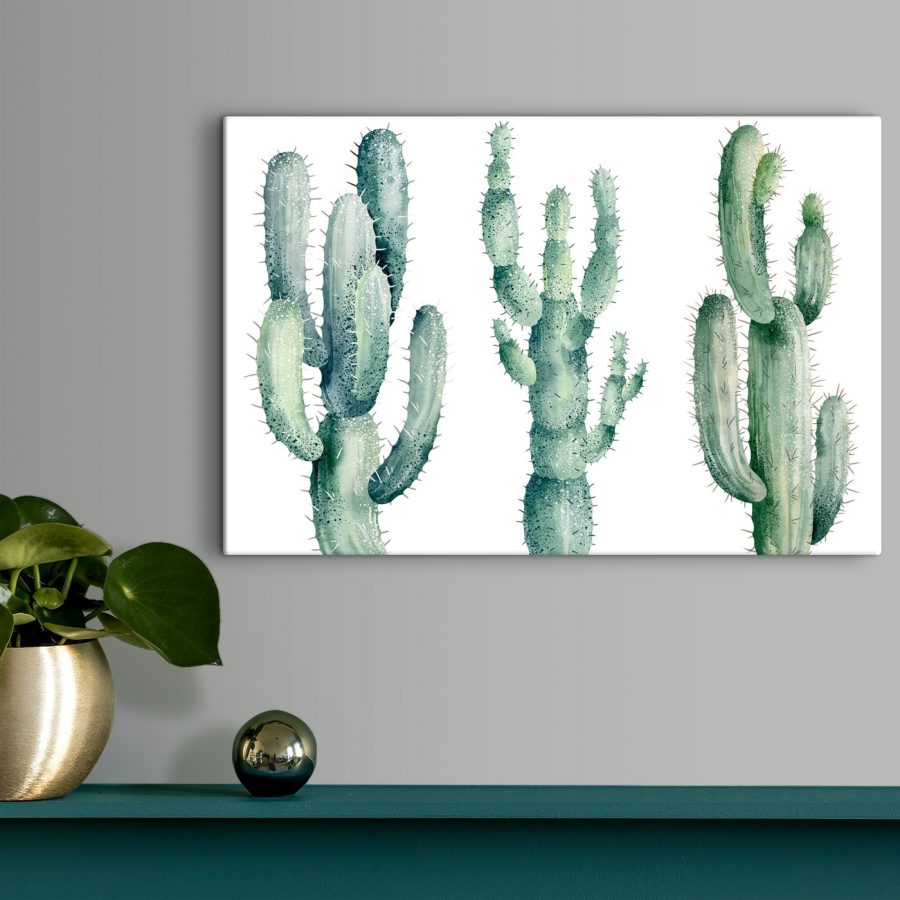 Groep cactussen op witte achtergrond