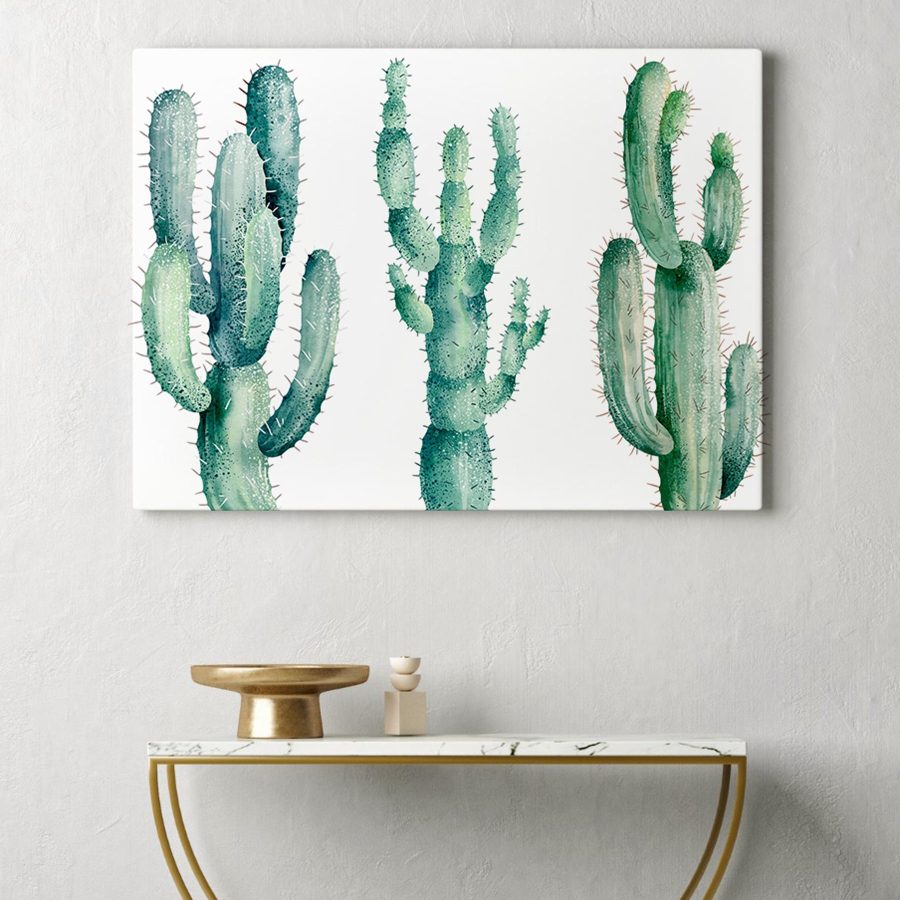 Groep cactussen op witte achtergrond