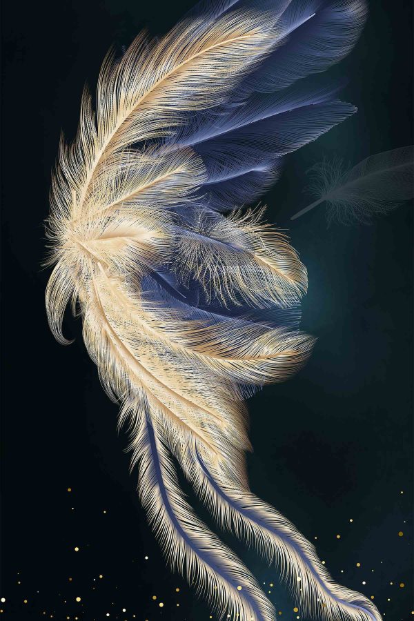 Ethereal Feather in Sterrennacht Ethereal Feather in Sterrennacht