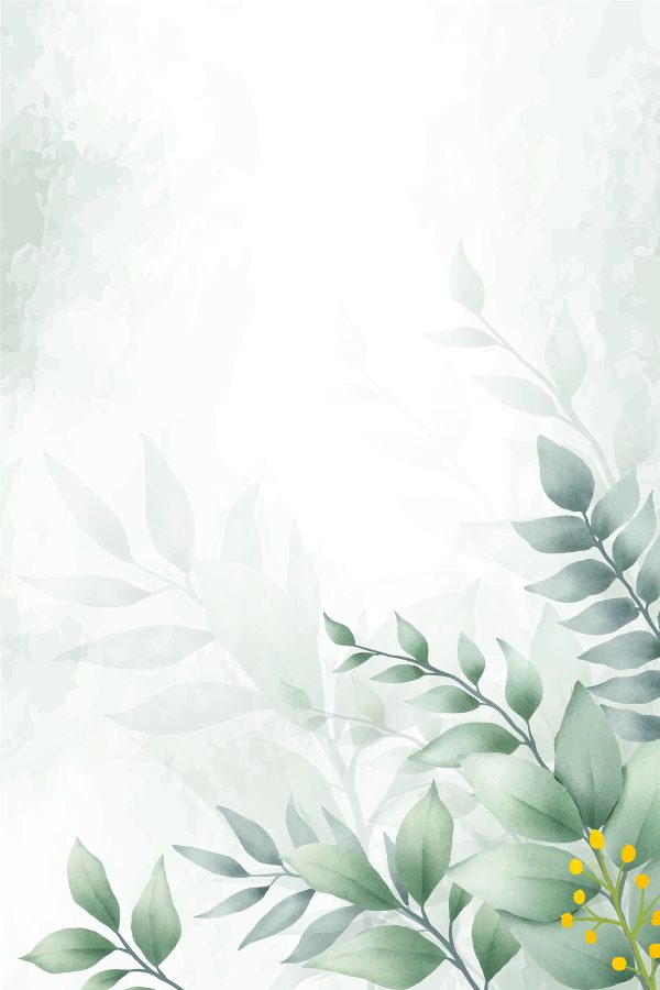 Green leaves on a white background Green leaves on a white background