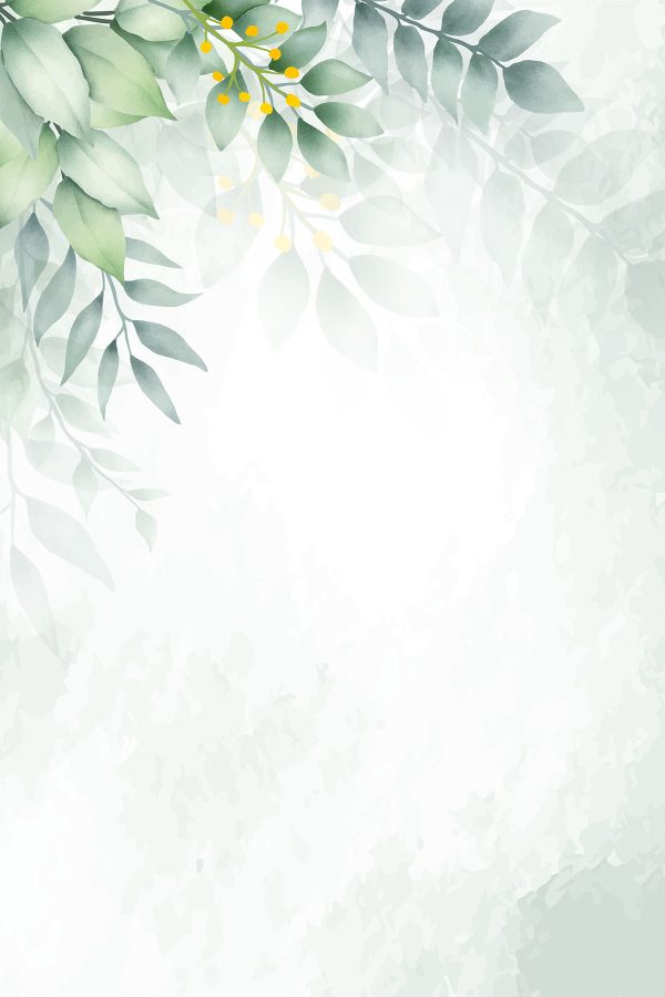Witte achtergrond met groene bladeren Witte achtergrond met groene bladeren