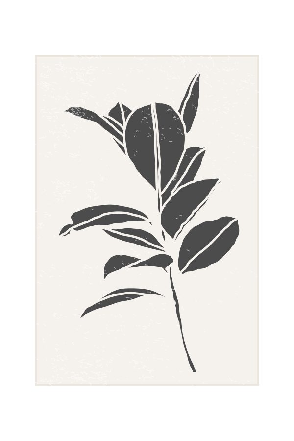 Zwart-wit tekening van een plant Zwart-wit tekening van een plant