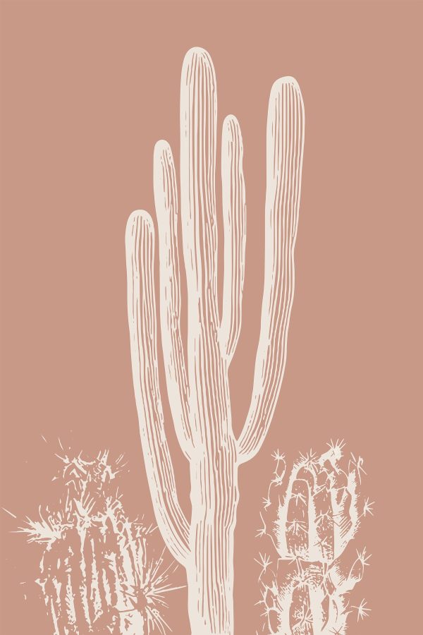 Cactus met witte lijnen Cactus met witte lijnen
