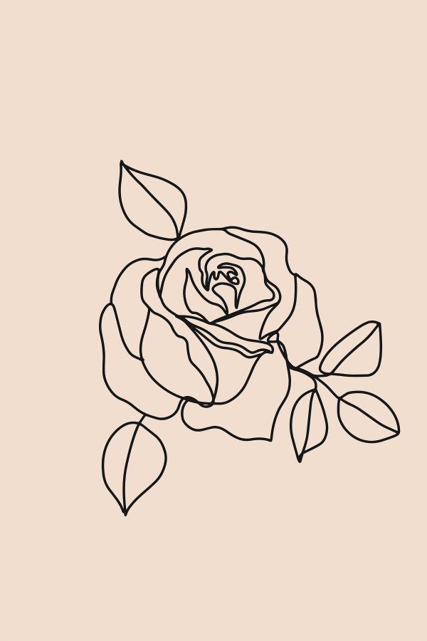 Tekening van een roos Tekening van een roos