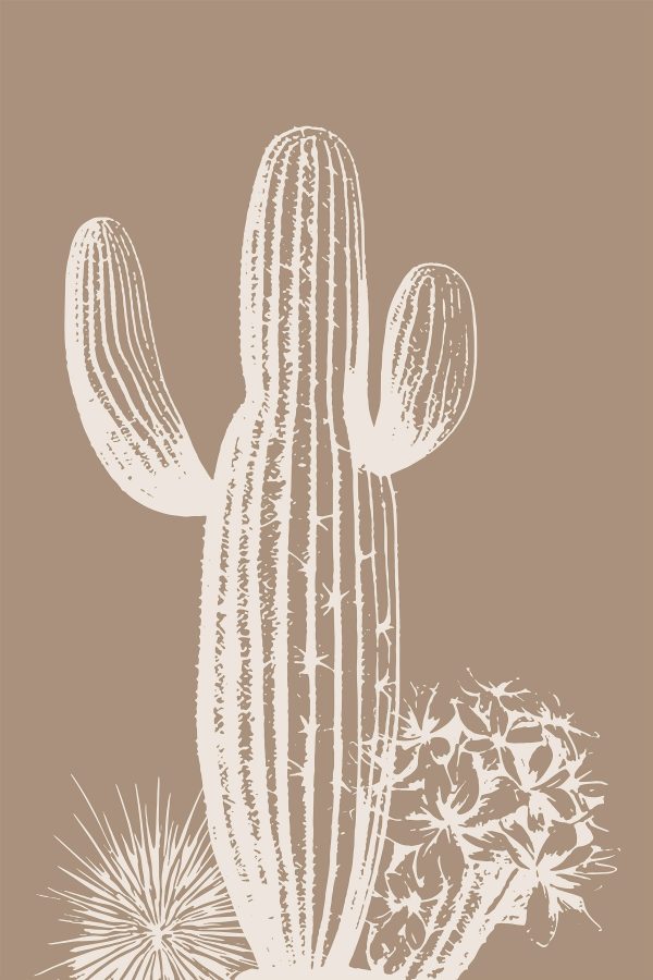 Cactus met doornen en bloemen Cactus met doornen en bloemen