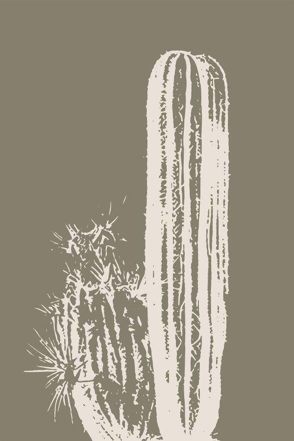 Witte cactus met bruine achtergrond Witte cactus met bruine achtergrond