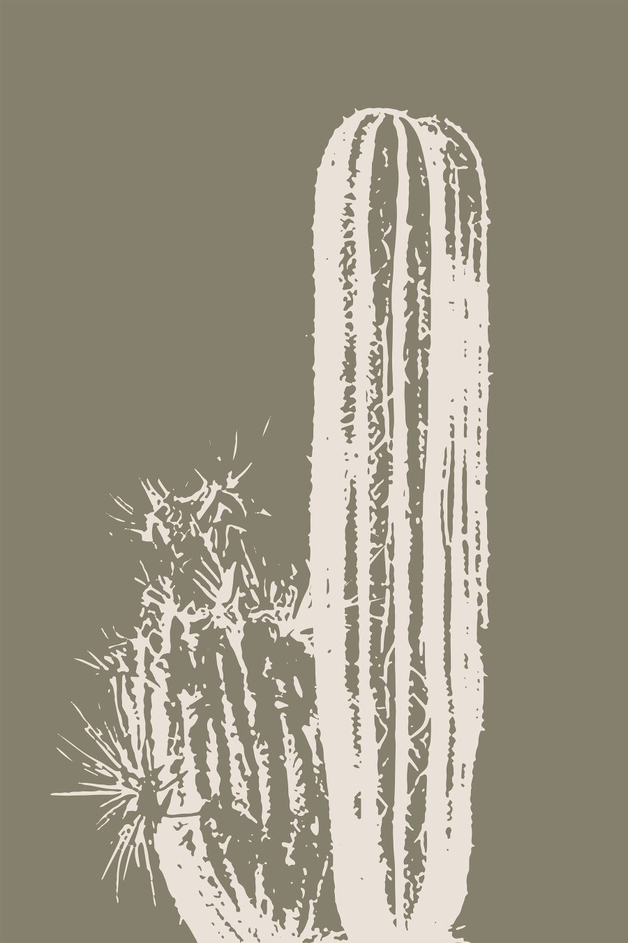 Witte cactus met bruine achtergrond