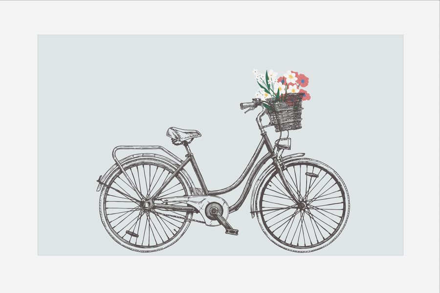 Fiets met bloemen in een mand
