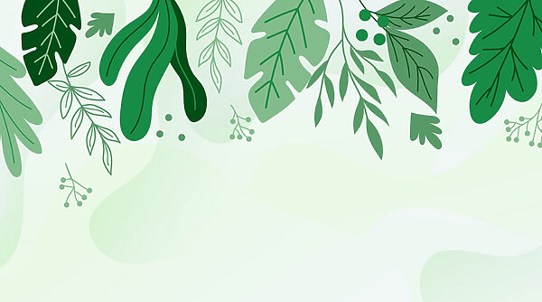 Groene bladeren en takken Groene bladeren en takken