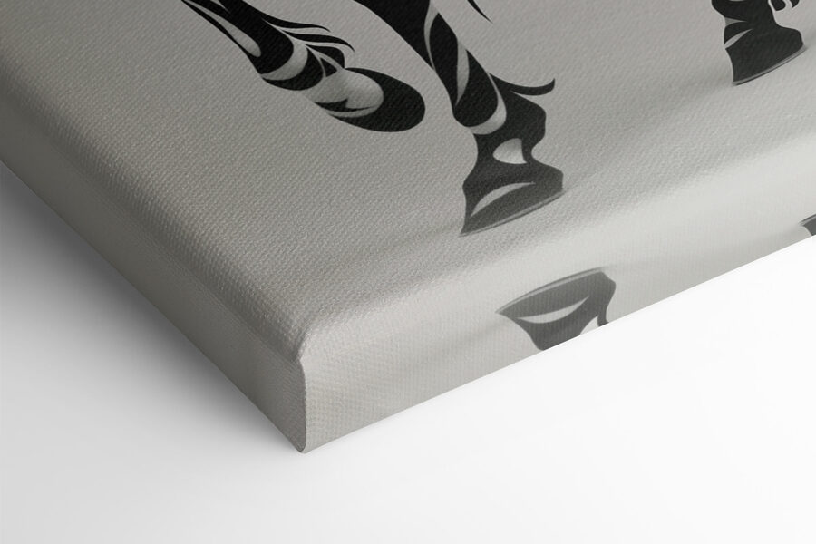 Zwart-wit paard met swirls