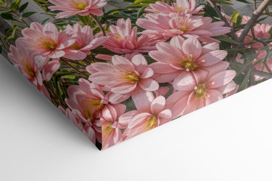 Gebouw met bogen en bloemen Gebouw met bogen en bloemen