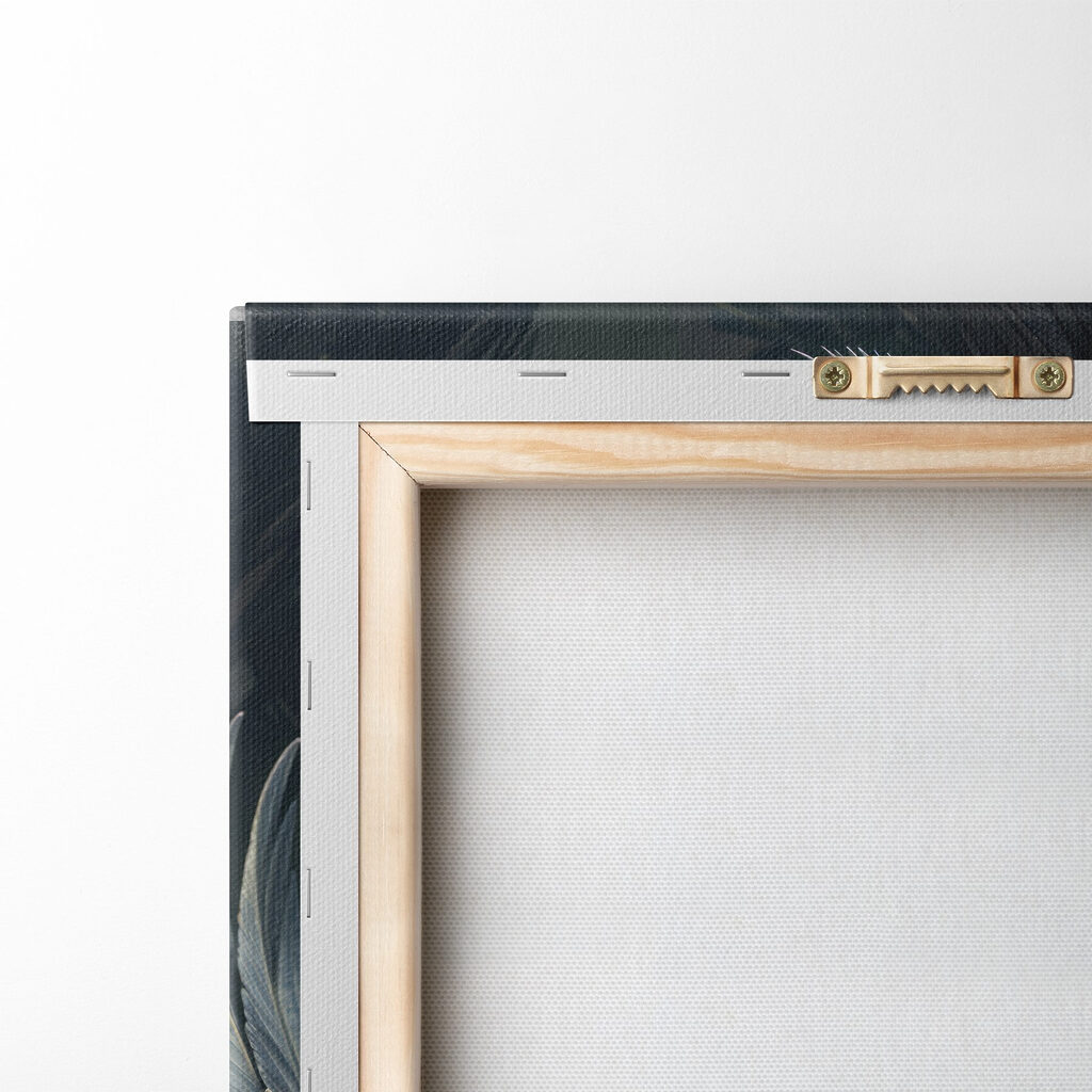 Black swan with a red beak