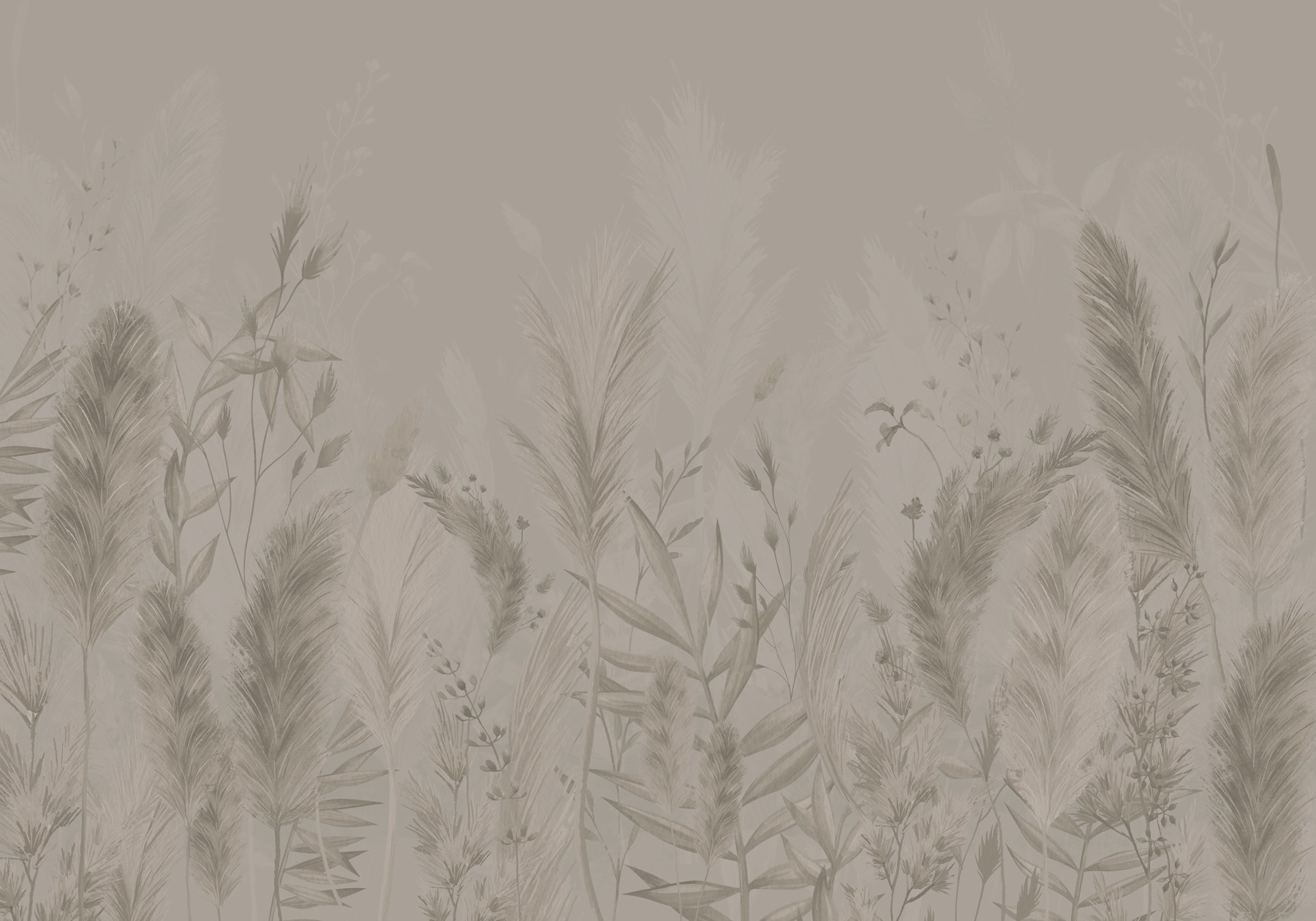 Soft textures of nature's beauty Soft textures of nature's beauty