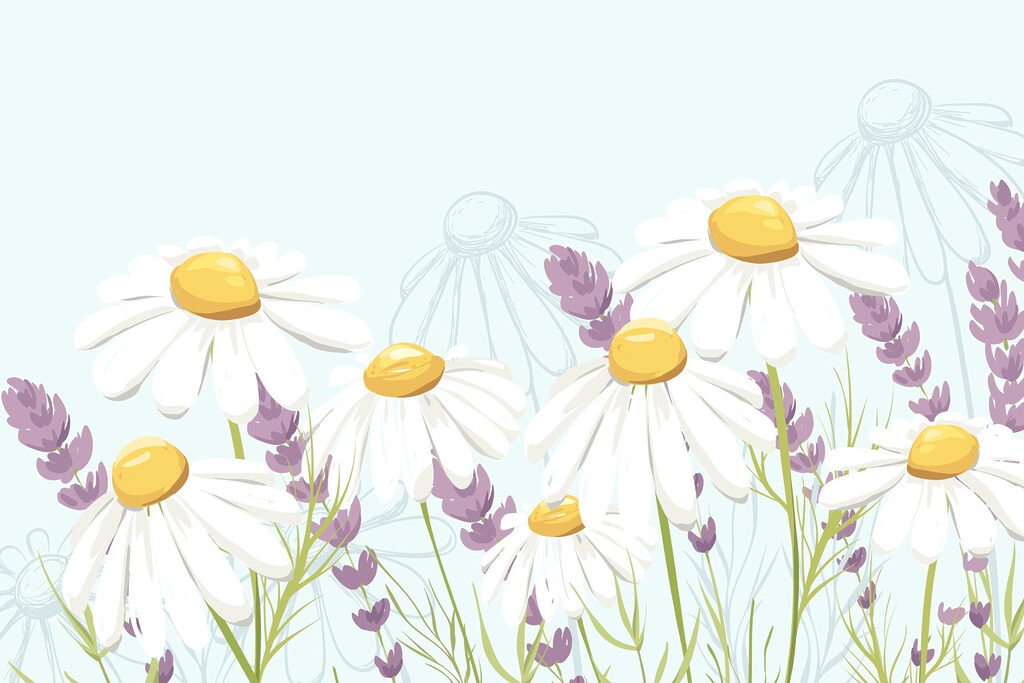 Groep witte bloemen Groep witte bloemen
