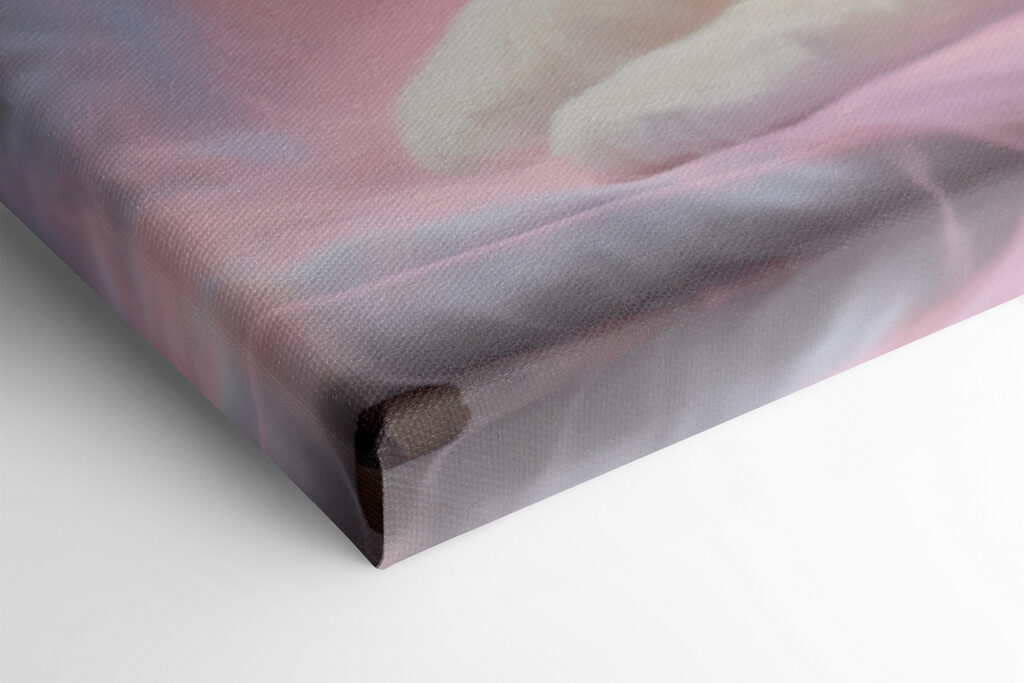 Black and white cat lying on a pink blanket Black and white cat lying on a pink blanket