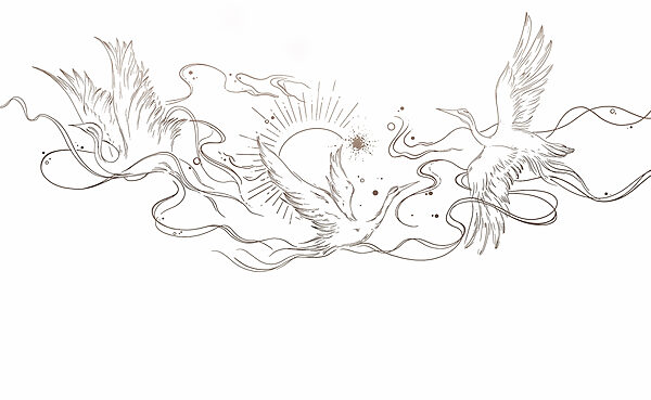 Tekening van vogels en zon Tekening van vogels en zon