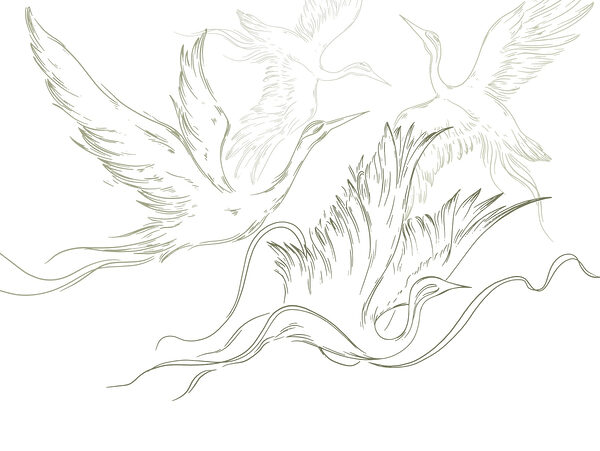 Tekening van vliegende vogels Tekening van vliegende vogels