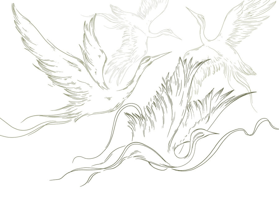 Tekening van vliegende vogels Tekening van vliegende vogels
