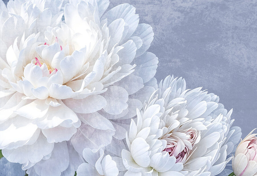 Delicate bloemen in zachte kleuren