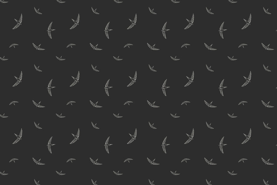 Patroon van witte vogels op een zwarte achtergrond