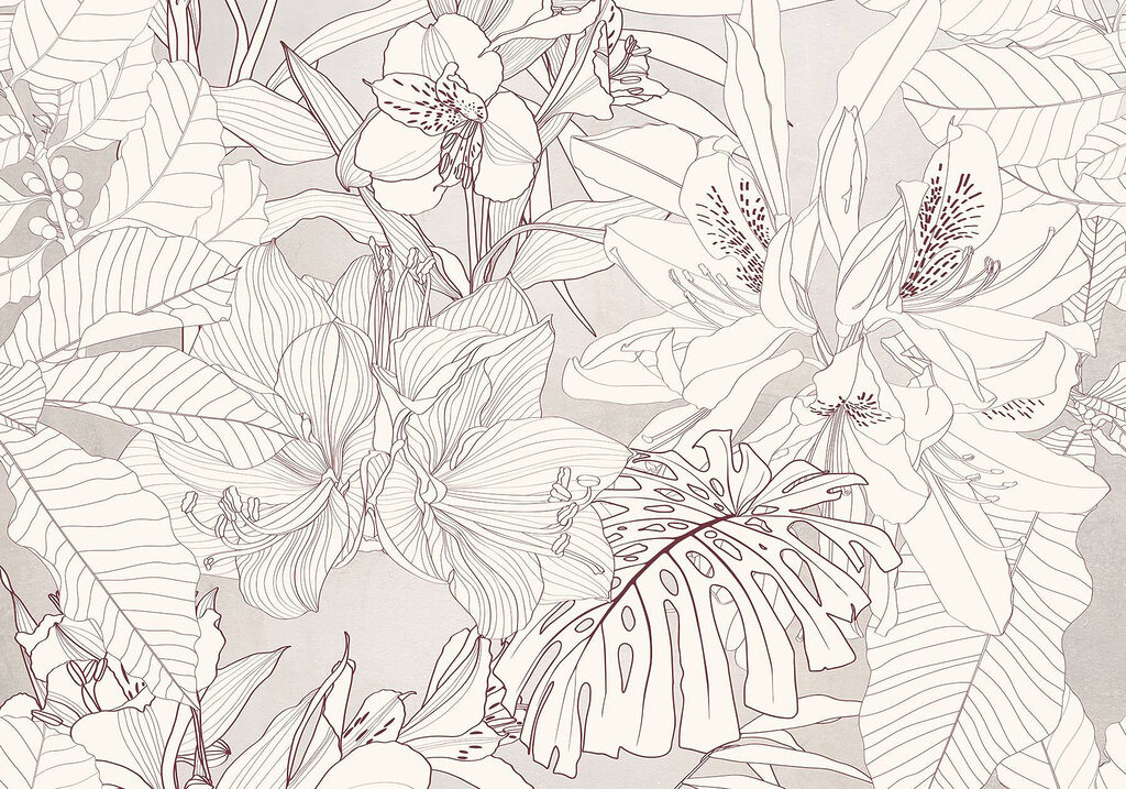 De delicate bloemenpatronen van de natuur ontvouwen zich De delicate bloemenpatronen van de natuur ontvouwen zich