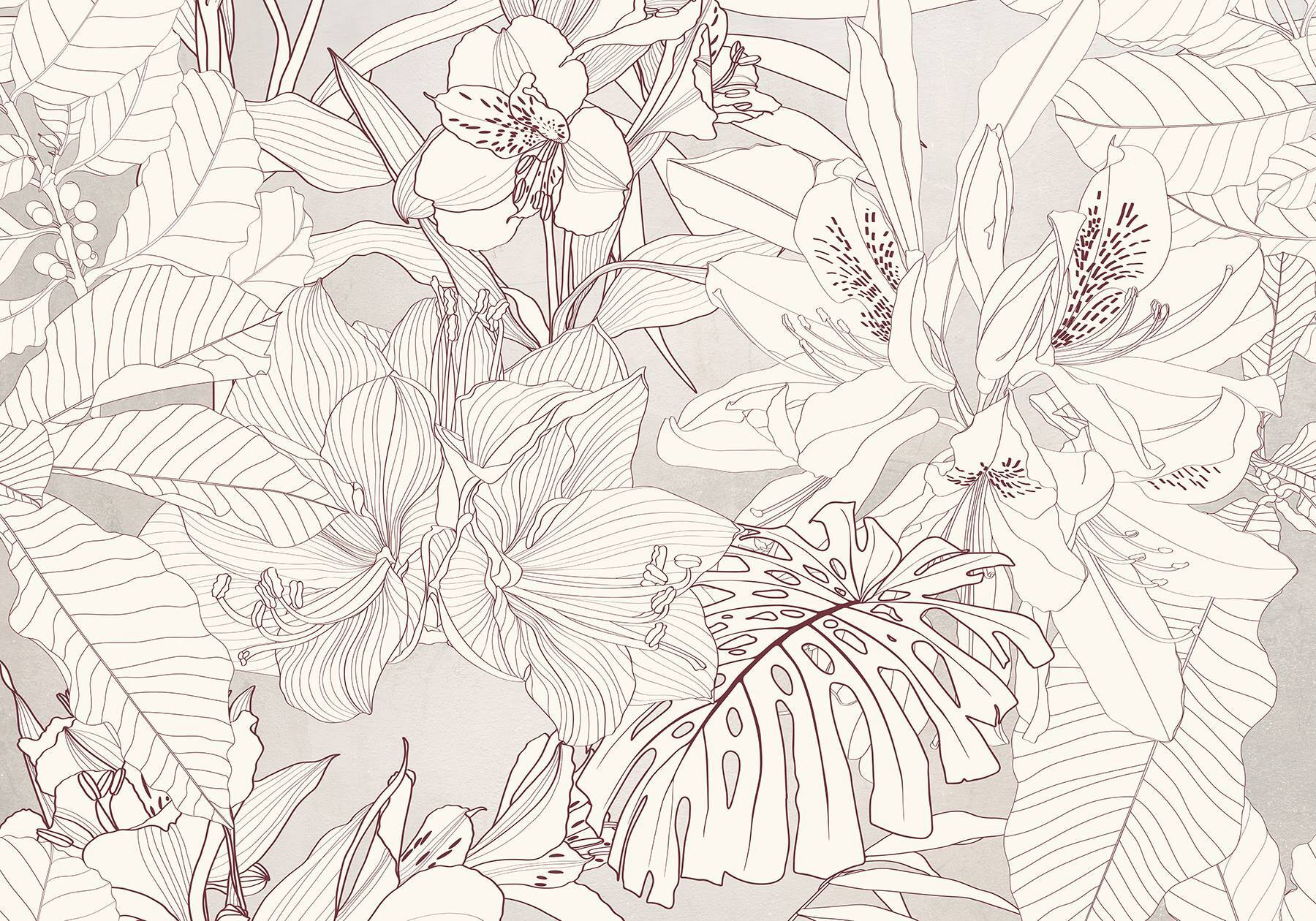 Nature's delicate floral patterns unfold Nature's delicate floral patterns unfold