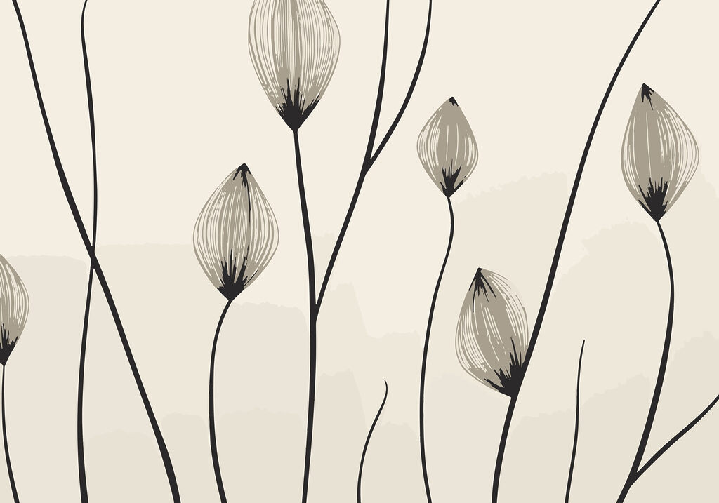 – Elegante lijnen van delicate bloemen – Elegante lijnen van delicate bloemen