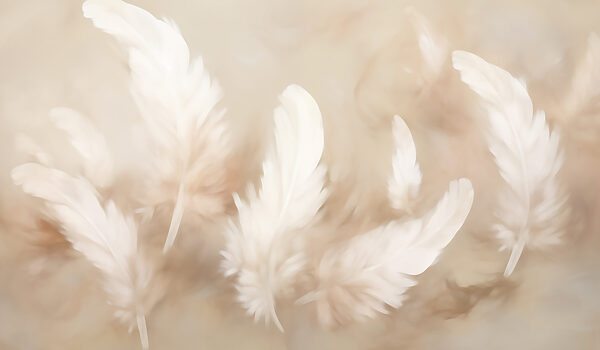 Groep witte veren Groep witte veren