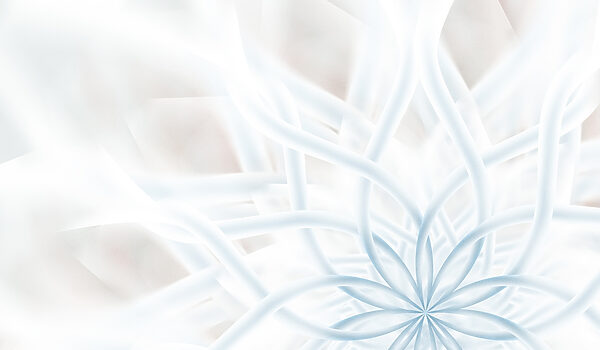 Witte en blauwe bloem Witte en blauwe bloem