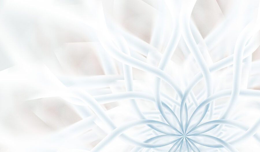 Witte en blauwe bloem