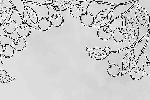 Tekening van kersen op een tak Tekening van kersen op een tak