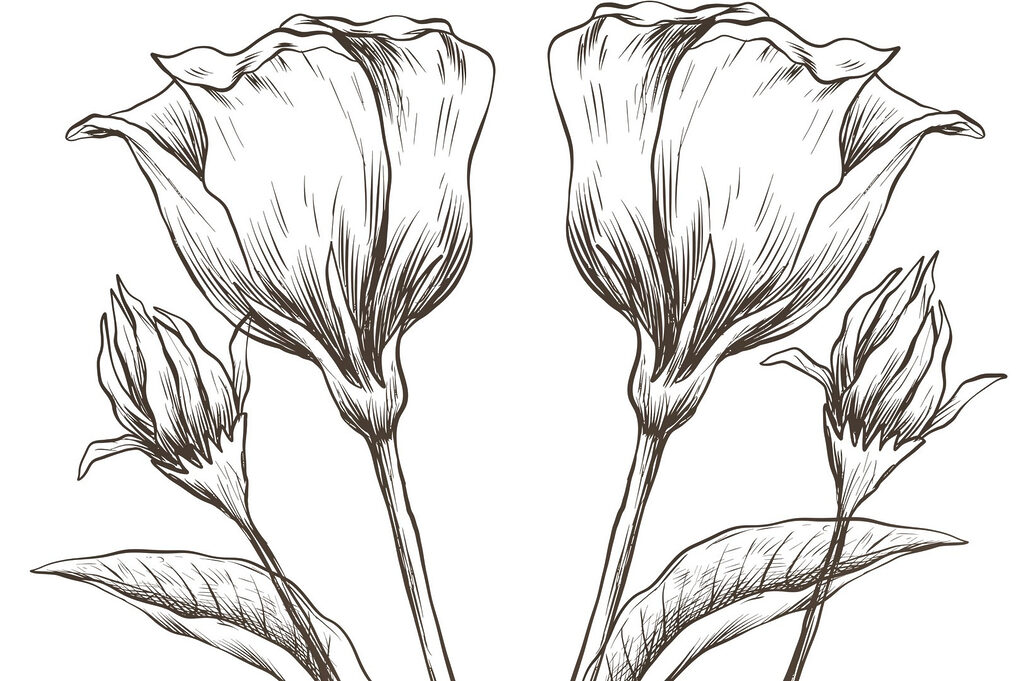 Tekening van bloemen op een witte achtergrond Tekening van bloemen op een witte achtergrond