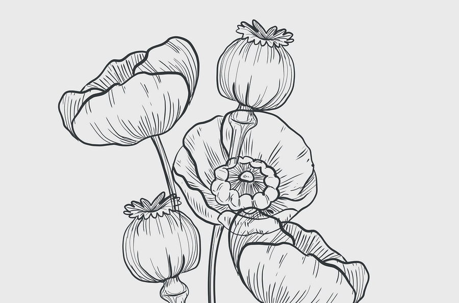 Tekening van bloemen op een witte achtergrond