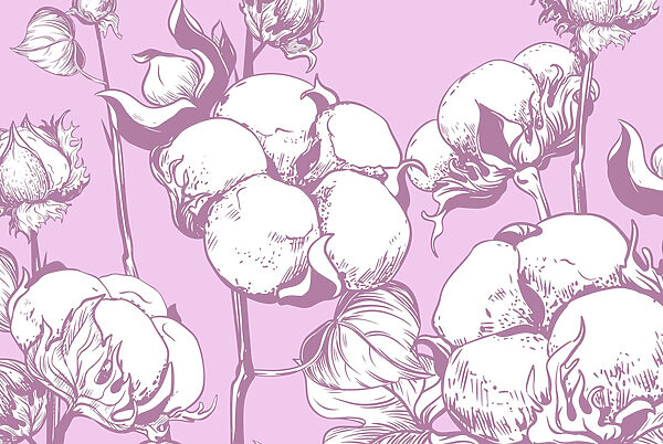 Katoenen bloemen op een zachte achtergrond Katoenen bloemen op een zachte achtergrond