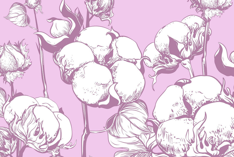 Katoenen bloemen op een zachte achtergrond