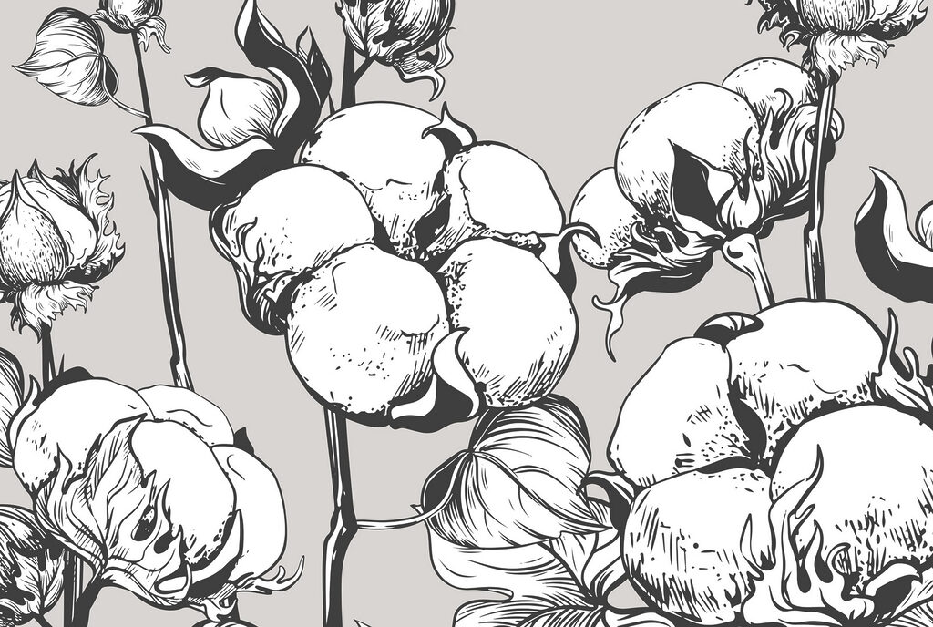 – Delicate katoenen bloemen in monochroom. – Delicate katoenen bloemen in monochroom.