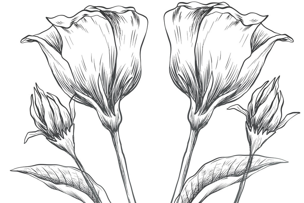 Tekening van bloemen op een witte achtergrond Tekening van bloemen op een witte achtergrond