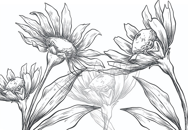 Tekening van bloemen met bladeren Tekening van bloemen met bladeren