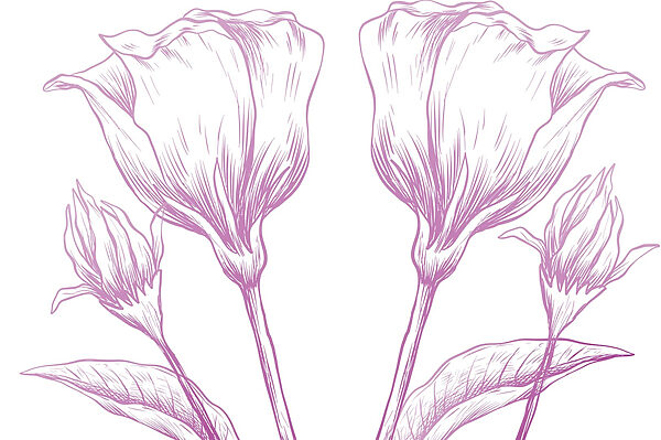 Delicate bloemen in zachte pasteltinten Delicate bloemen in zachte pasteltinten
