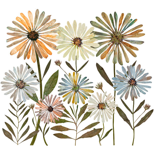 Groep bloemen met bladeren Groep bloemen met bladeren