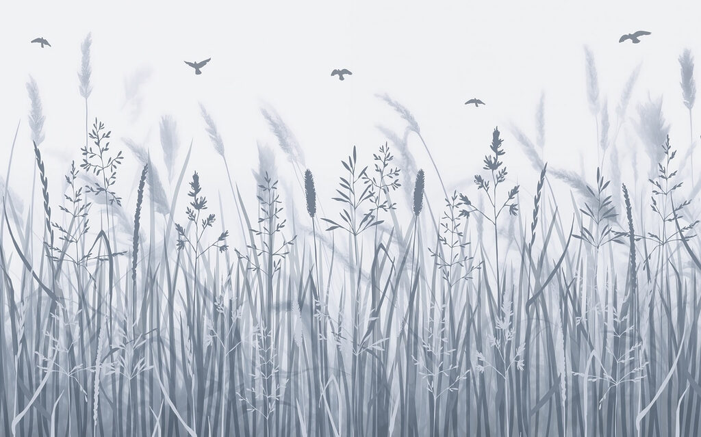 Grasveld met vliegende vogels Grasveld met vliegende vogels