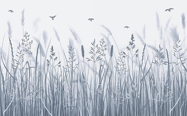 Grasveld met vliegende vogels Grasveld met vliegende vogels