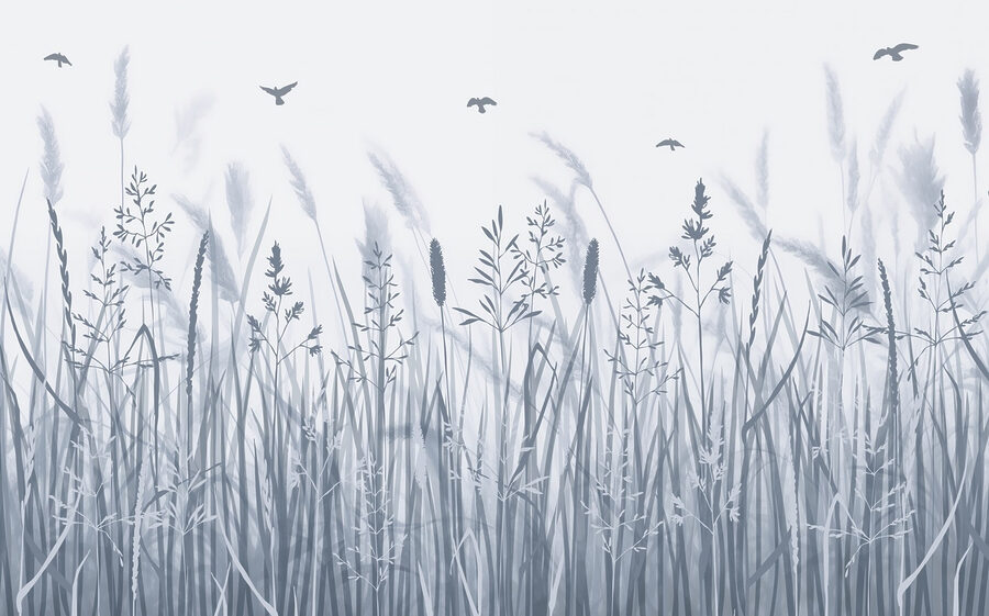 Grasveld met vliegende vogels Grasveld met vliegende vogels
